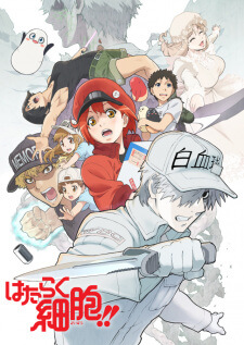 Hataraku Saibou เซลล์ขยัน พันธุ์เดือด ภาค 2