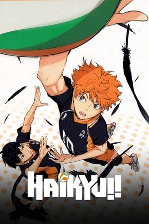 Haikyuu!! ไฮคิว คู่ตบฟ้าประทาน ภาคที่ 1 ถึง ภาคที่ 4