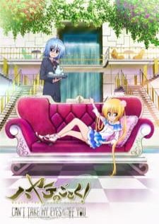 Hayate no Gotoku! Can`t Take My Eyes Off You ฮายาเตะ พ่อบ้านประจันบาน ภาค3